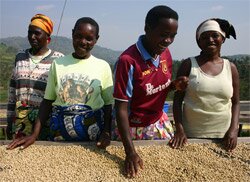 Rwandan coffee