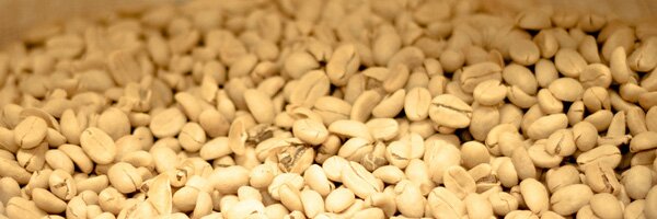 bagsofcoffee-header
