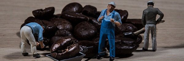 Coffee Workforce