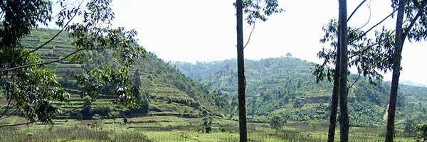 Rwanda's government promotes a coffee culture rwanda-123407_600-200