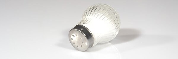 Salt Shaker