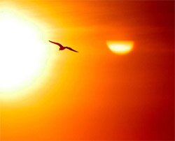 sun sun