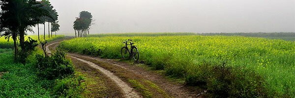 A government-led initiative is set to bring specialist coffee plantations to West Bengal